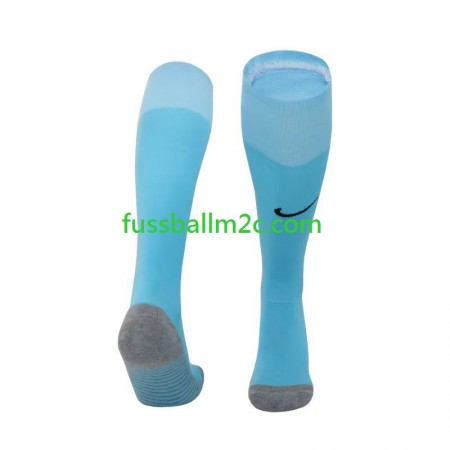 Tottenham Hotspur Heim Socken 2023-2024